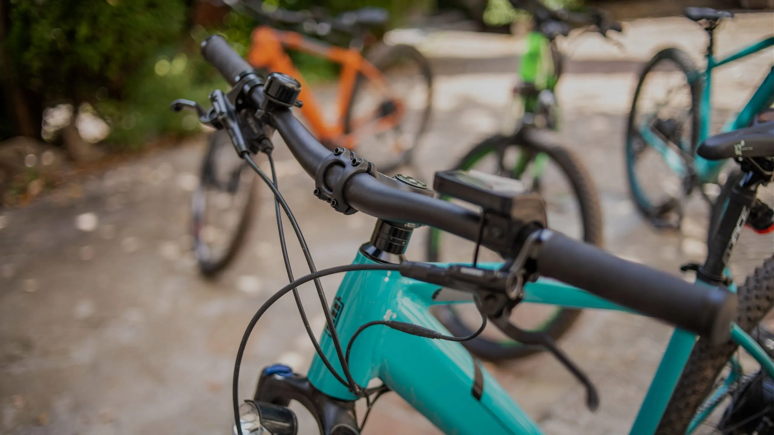 biciclette-elettriche-foto-orizzontale-1