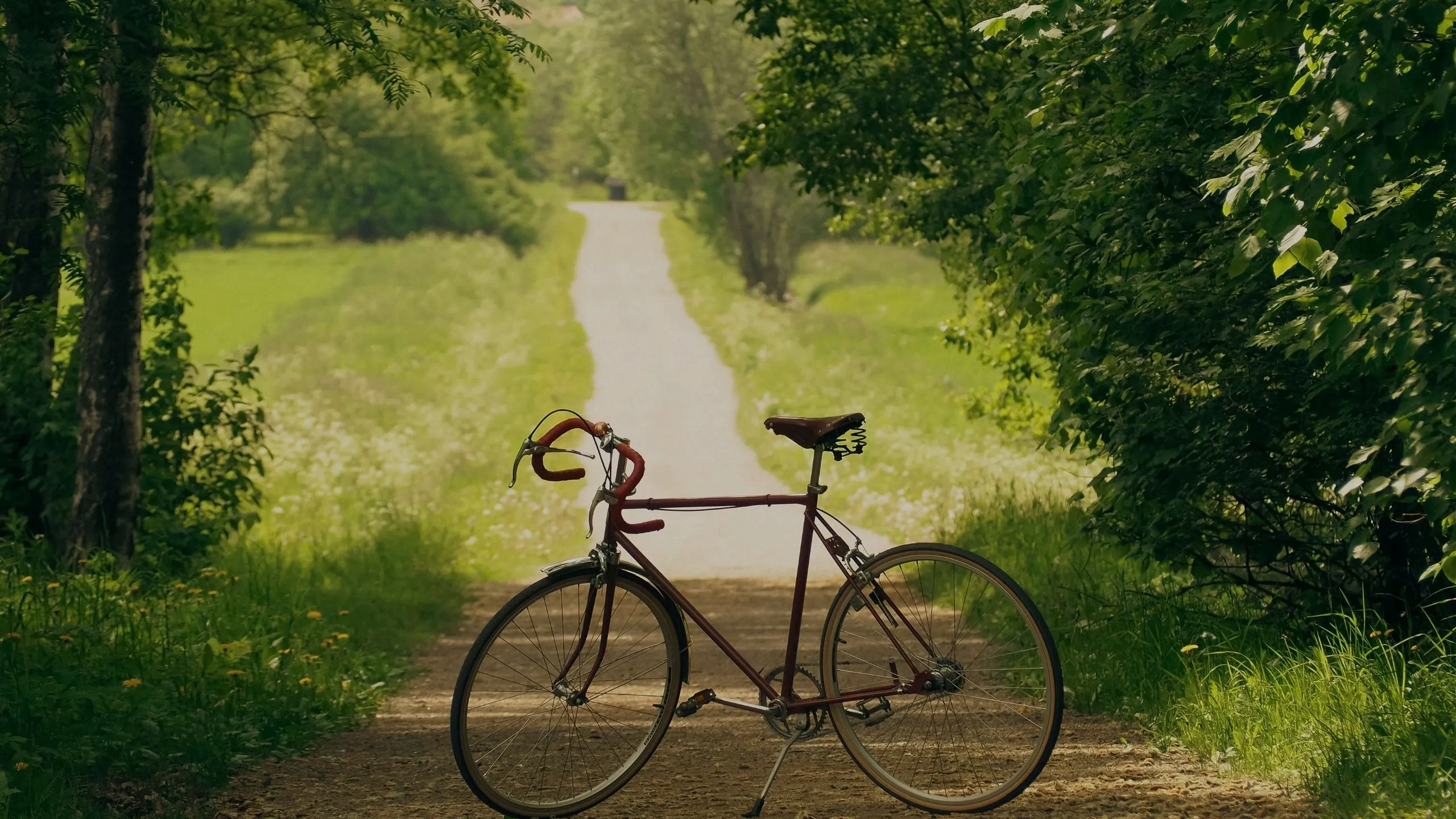 biciclette-elettriche-foto-orizzontale-2