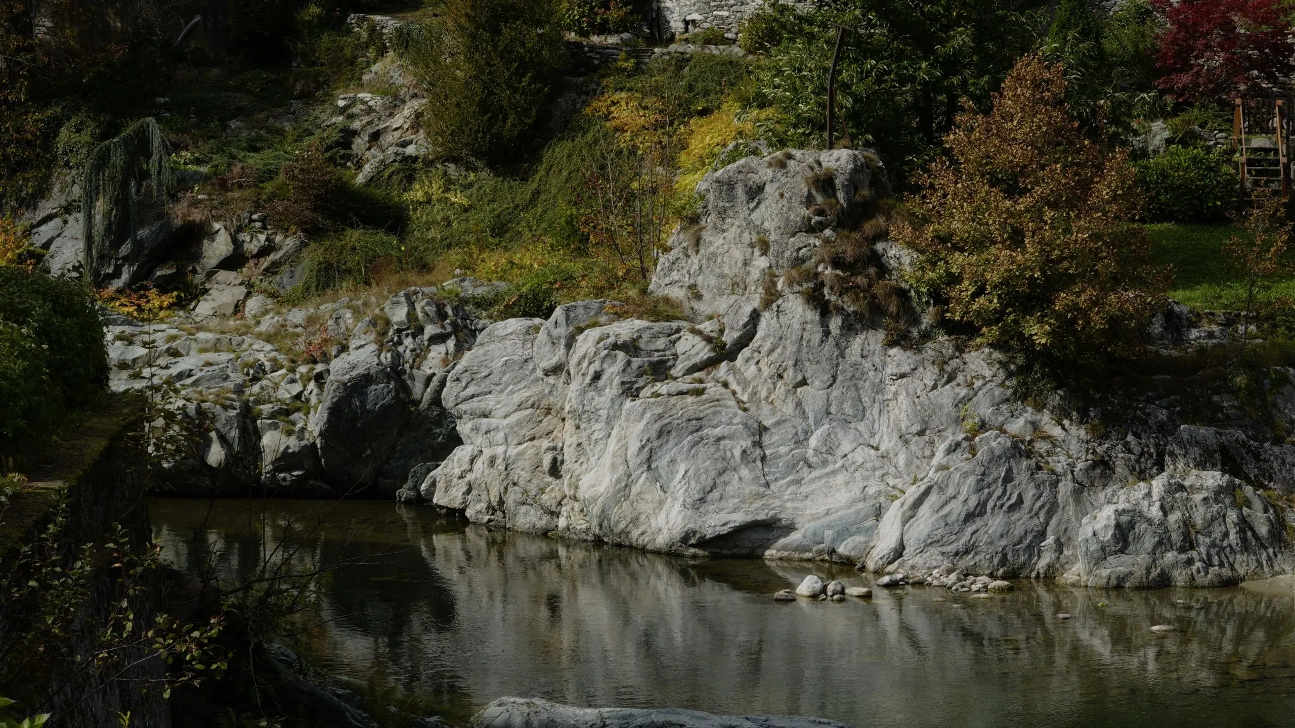 natura-borgomanero-foto-1