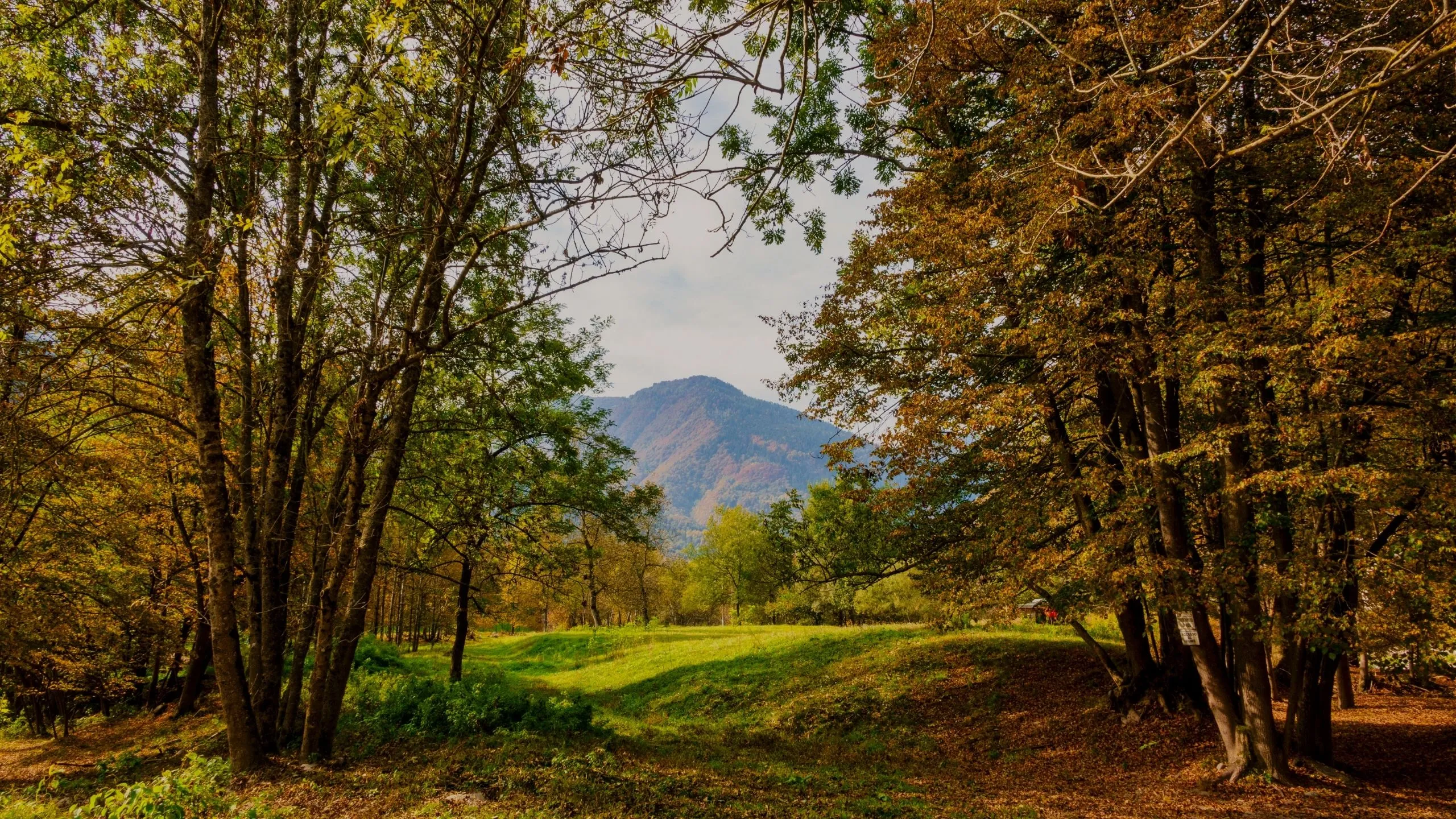 natura-borgomanero-foto-2