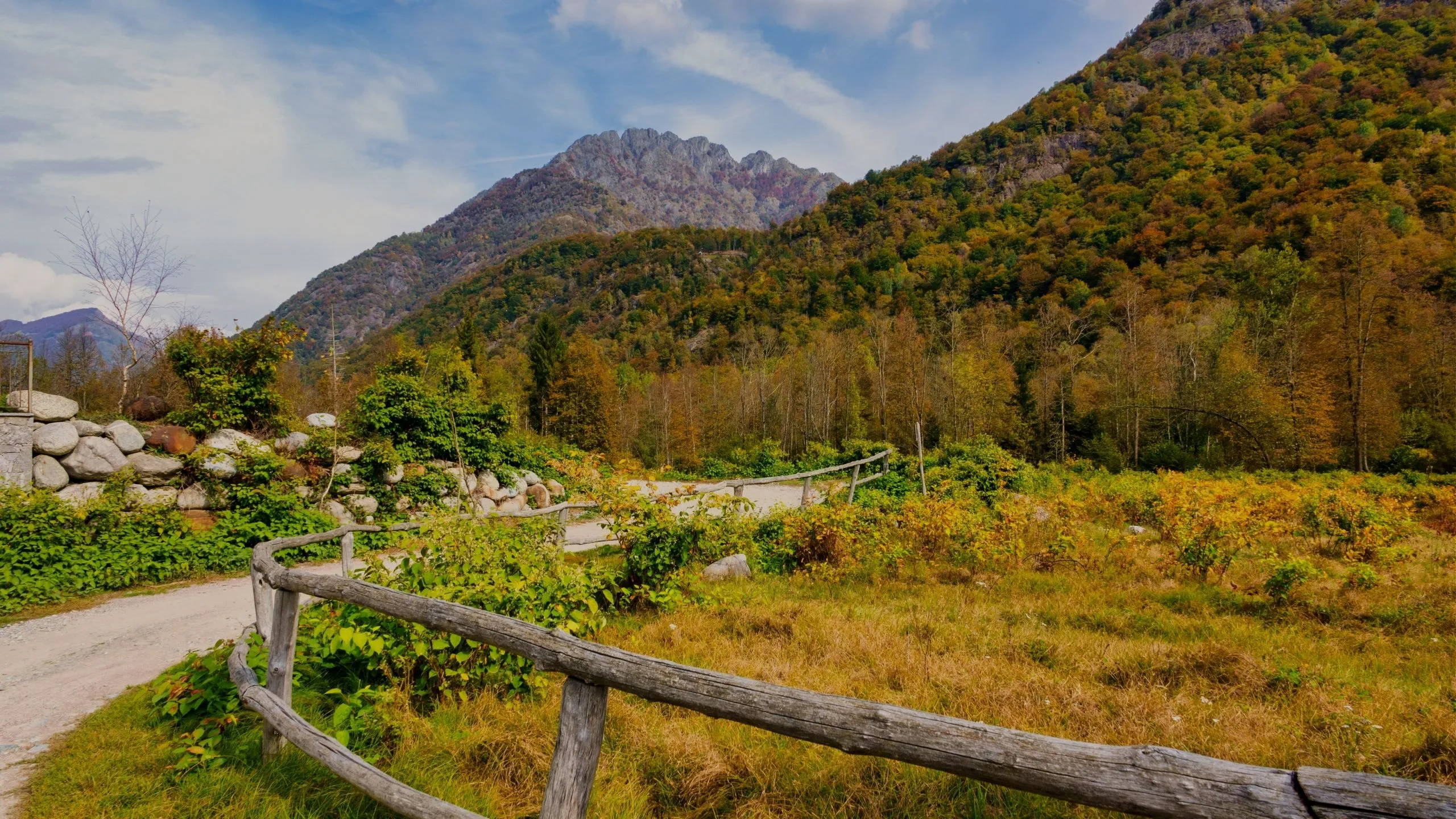 natura-borgomanero-foto-5